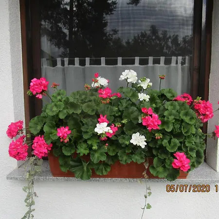 Alloggio in famiglia Radlerhaus *